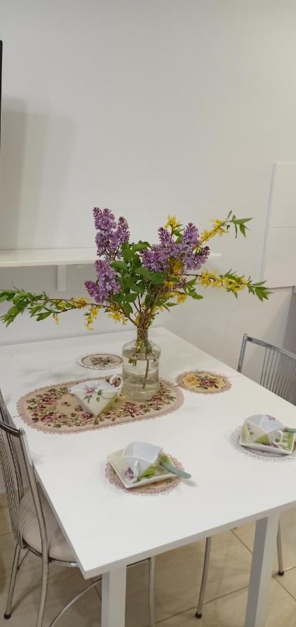 Kaunas Downtown Apartments Ngoại thất bức ảnh